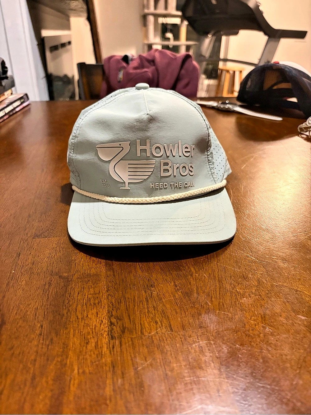 Howler Brothers Howler Electric Standard Hat
